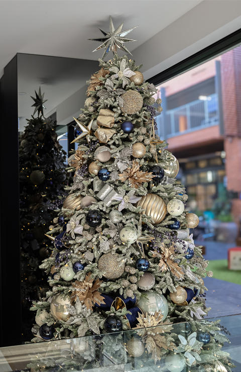 Business-Blitz-Styling