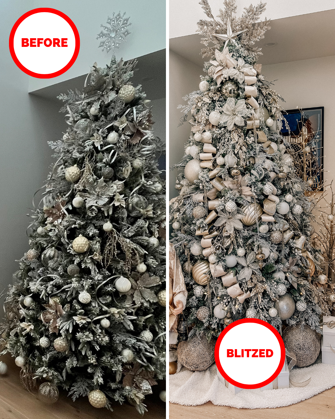 Blitz-and-Pieces-Before&After 1