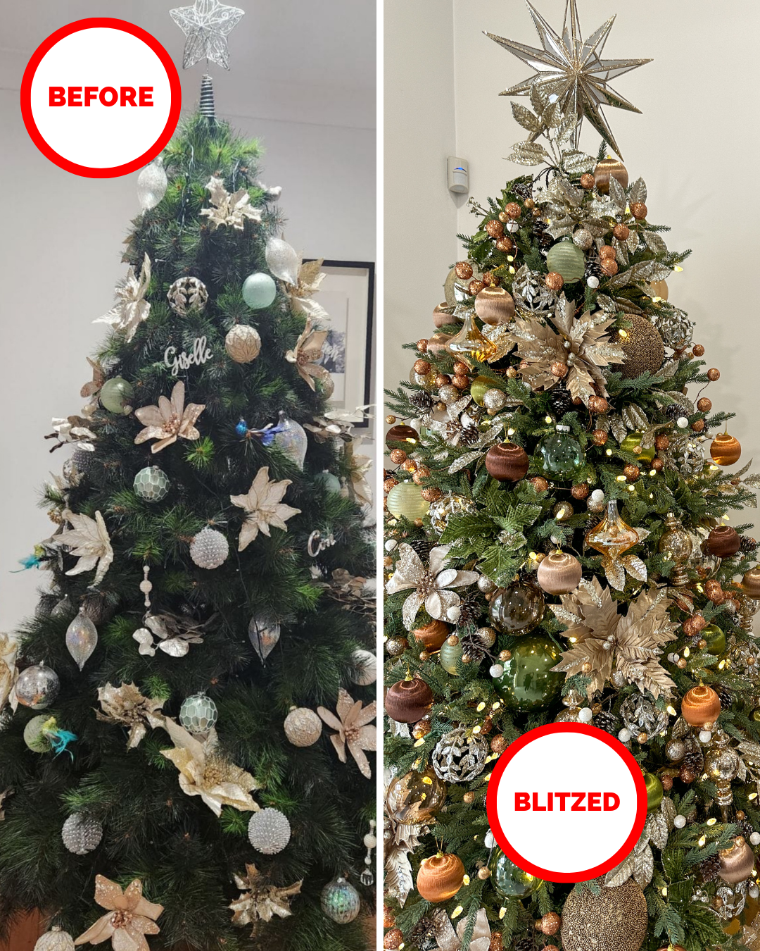 Blitz-and-Pieces-Before&After 3
